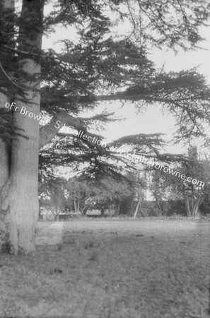 GLENCAIRN PRIORY IN THE CEMETERY